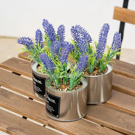 Charm Sao Mamede Appartamento