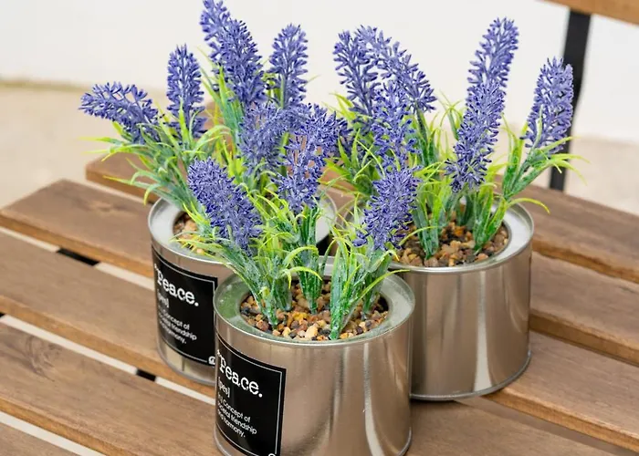 Charm Sao Mamede Apartman