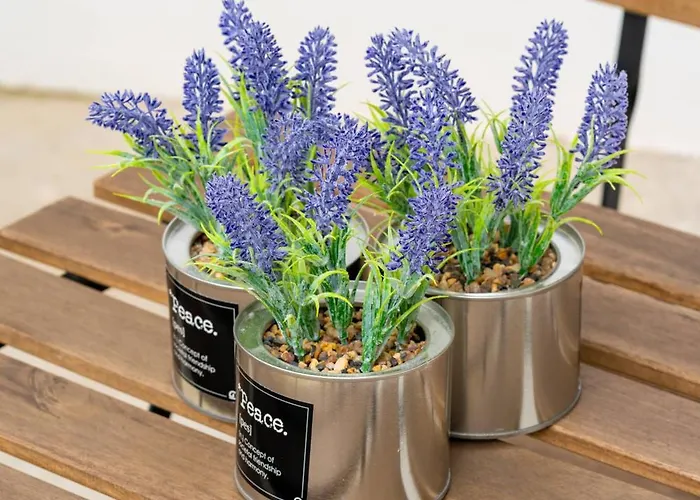 Charm Sao Mamede Matosinhos